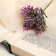 Bouquet "Two -color grass" with spraying, 18 cm, mix