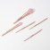 A set of makeup brushes "The most stylish", 5 pcs