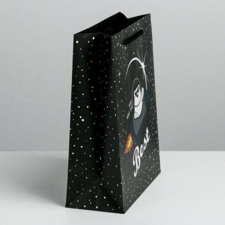 Gift laminated vertical, packaging, “space waits”, MS 18 x 23 x 10 cm-2