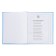 Diary for grades 5-11, 48 sheets of Kapibar Kapibarov, hard cover, glossy lamination, block 60 g/m2