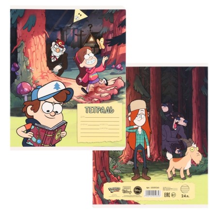 Notebook in a line of 24 sheets, 5 types of mix, cover coated cardboard, gravity farz-6