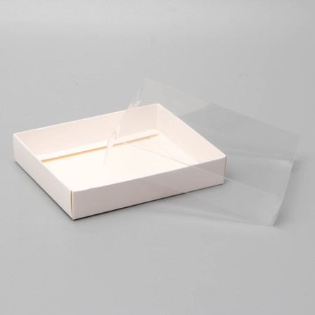 Box a team with a transparent lid 16 x 13 x 3 cm, white-3