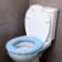 Soft cover on the lid and seat of the toilet (blue)