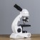 Microscope, increase in an increase in 450x, 200x, 80s, with backlight, white