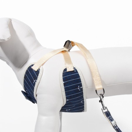 A set with a soft harness "anchor", size m, leash, 120 x 1.5 cm, og 34-66 cm, blue-4