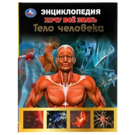 The human body
