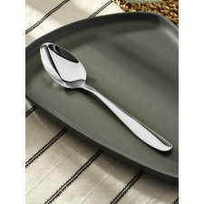 Spoon of stainless steel table, length 20 cm, silver color