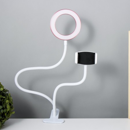 Board Octopus LED USB Rose 11x63 cm Risalux-9