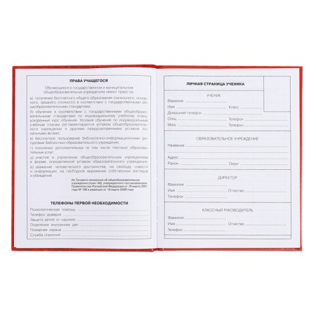 Diary for grades 5-11, 48 sheets of "Russian schoolchildren No. 3", solid cover, glossy lamination, block 60 g/m2-4