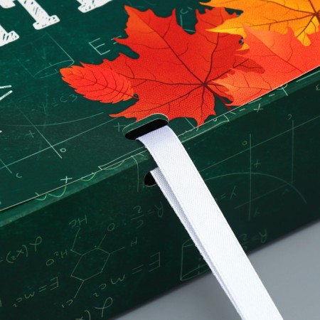 Gift box, packaging, “class teacher”, 31 x 24.5 x 8 cm-3