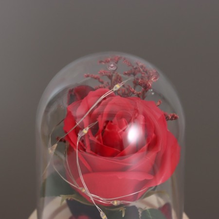 Nightlight “Rose” LED 3HAAA Red 9.5x9.5x14cm-3