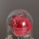 Nightlight “Rose” LED 3HAAA Red 9.5x9.5x14cm