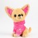 Soft toy "Chihuahua", Mix colors