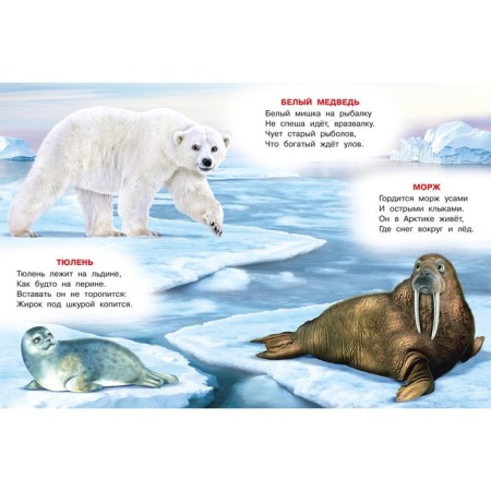 Animal planets. Stepanov V.-2