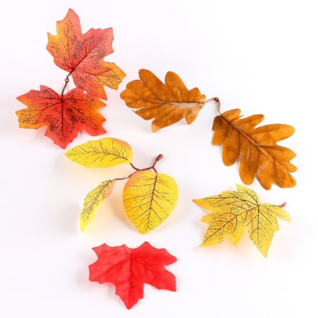 Set for creativity "Materials for autumn crafts. Leaves, cones "-3