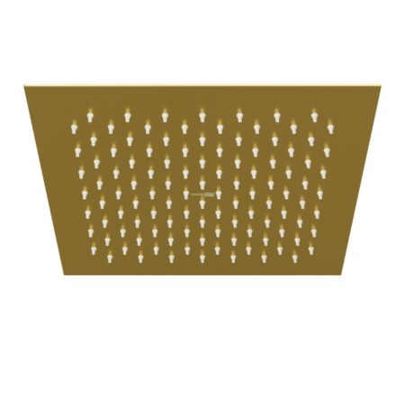 Shower watering can Wasserkraft A198, tropical, 250 x 250 mm, stainless steel, gold