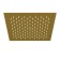 Shower watering can Wasserkraft A198, tropical, 250 x 250 mm, stainless steel, gold