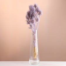Set of dried flowers 