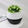 Pot "duet", 2.5 l, black and white color