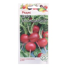 Seeds Radis 