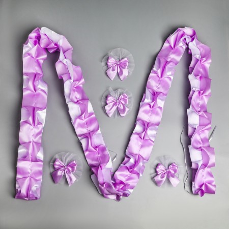 Set on the car "Guest" elite tape with an angle on the hood, 4 bow on pens, lilac