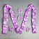 Set on the car "Guest" elite tape with an angle on the hood, 4 bow on pens, lilac