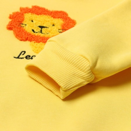 Costume for boys (sweatshirt, trousers), I was launched, yellow color, height 104 cm-2