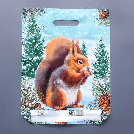 New Year Squirrel package, polyethylene with a cut pen, GL 40 x 31 cm, 60 μm-1