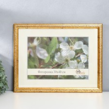 Photo frame plastic 30x40 cm 2315-1127-5