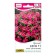 Flowers of Petunia "Weive" F1 Pink ampel, c/n, 4 pcs