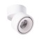 Arcturus lamp, 15W Led, 3000k, 1000lm, white color