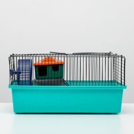 The cage for rodents "Pigzon" No. 4, with a floor, equipped, 37x26x18 cm, turquoise-1