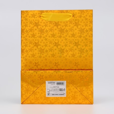 Packet Holography with a window, "Golden", S 23.5 x18 x 8.5 cm-1