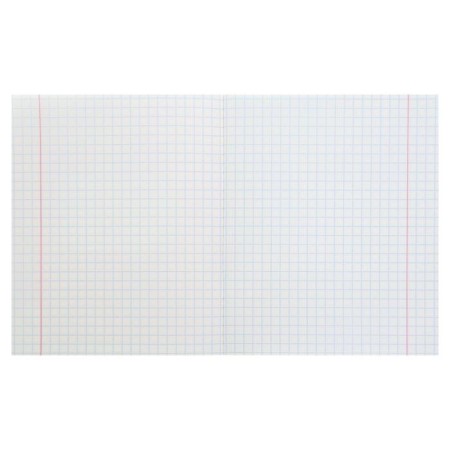Notebook of 12 sheets in the large Calligrata "School", cover shaking cardboard, VD-LK, OFSET BOLK, Beliece 95%, MIX-1