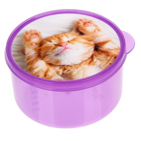 Lunch-Box "Kitten", 0.5 l