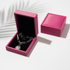 Case for the pendant 