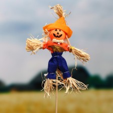 The garden scarecrow 