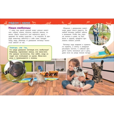 Encyclopedia for kindergarten "Pets"-2