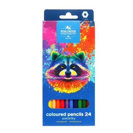 Pencils 24-ZV K-I-N 3554 RACOON, hexagon, cards/UP-3