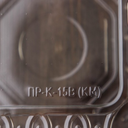 The plastic disposable container with an insoluble lid pr-K-15 V, square, 250 ml, 15.2 × 15.2 × 8.1 cm-2
