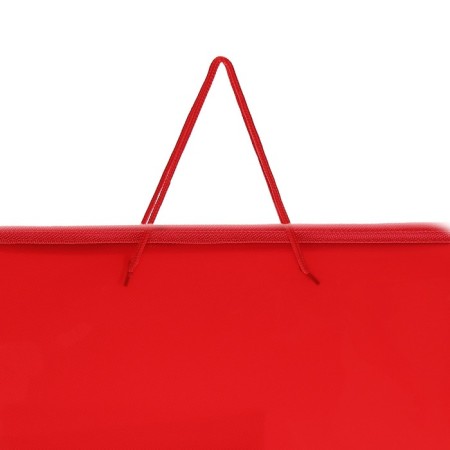 Folder for drawings and drawings A3, 460 x 320 x 25 mm, handles, plastic, lightning around, "office"-3