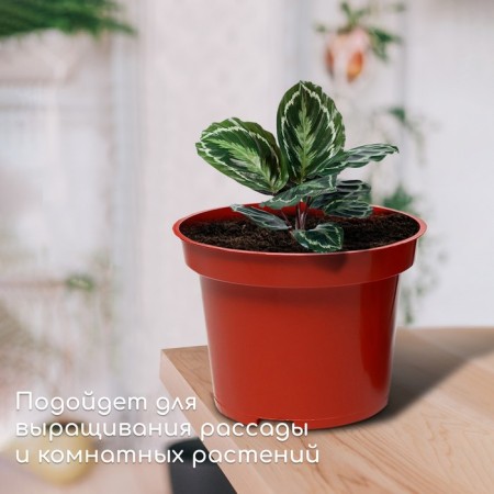 Pot for seedlings, 7.5 l, d = 25.5 cm, h = 20.5 cm, terracotta, Greengo-2