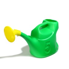 Watering can, 5 l, with the scatter, the nose d = 30 mm, the color of mix