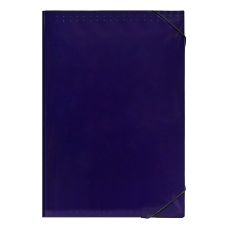 Folder file Calligrata Top Deluxe 13 Department. A4 plastic 1.0mm black. Cut in color-1