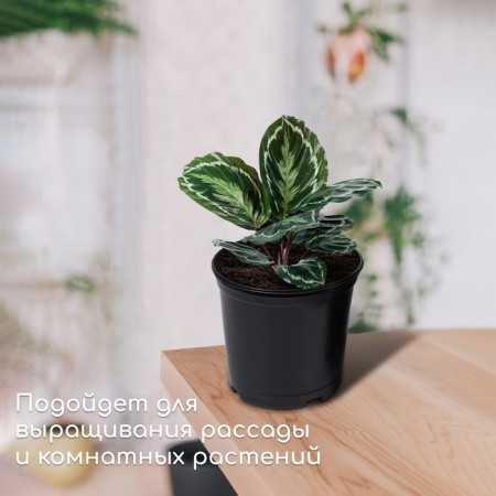 Pot for seedlings, 1 l, d = 13 cm, h = 10.5 cm, black, Greengo-2