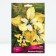 Iris Siberian Flying Fiddles, Rr. I, 1 pc, spring 2025