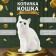 The piggy bank "Cat is white color" height 31.5 cm, width 16 cm, length 24 cm.
