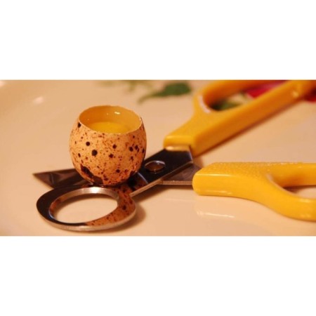 Scissors for quail eggs, 14 cm, mix-2