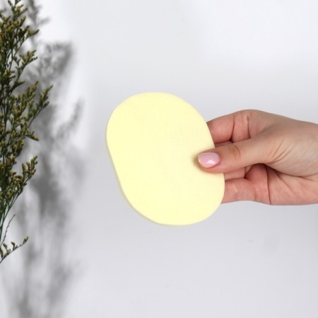Washing sponge "Waste", 11.5 × 8.5 cm, color mix-1