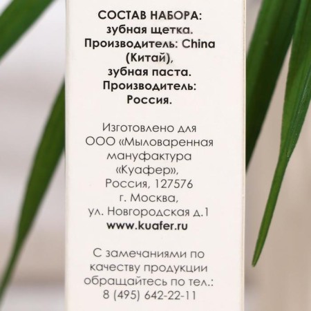 Dental set in cardboard, a toothbrush 14 cm.+ Toothpaste Sasha 4 ml-3